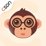 CSDN 图标
